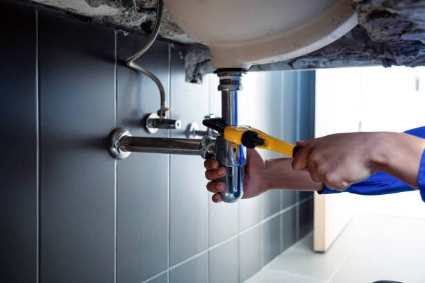 Best Emergency Plumbing Services in New Union, TN